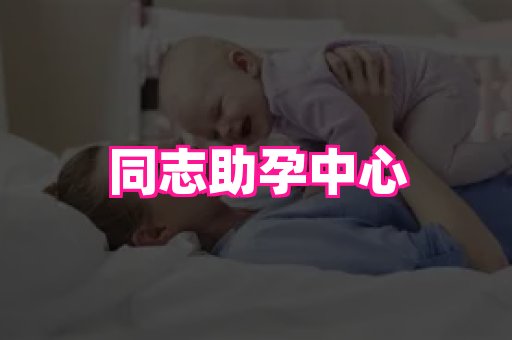 点点助孕网 2