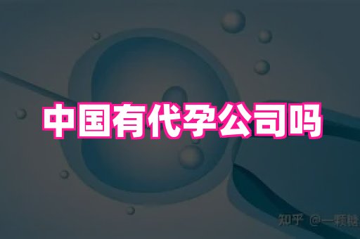 点点助孕网 4